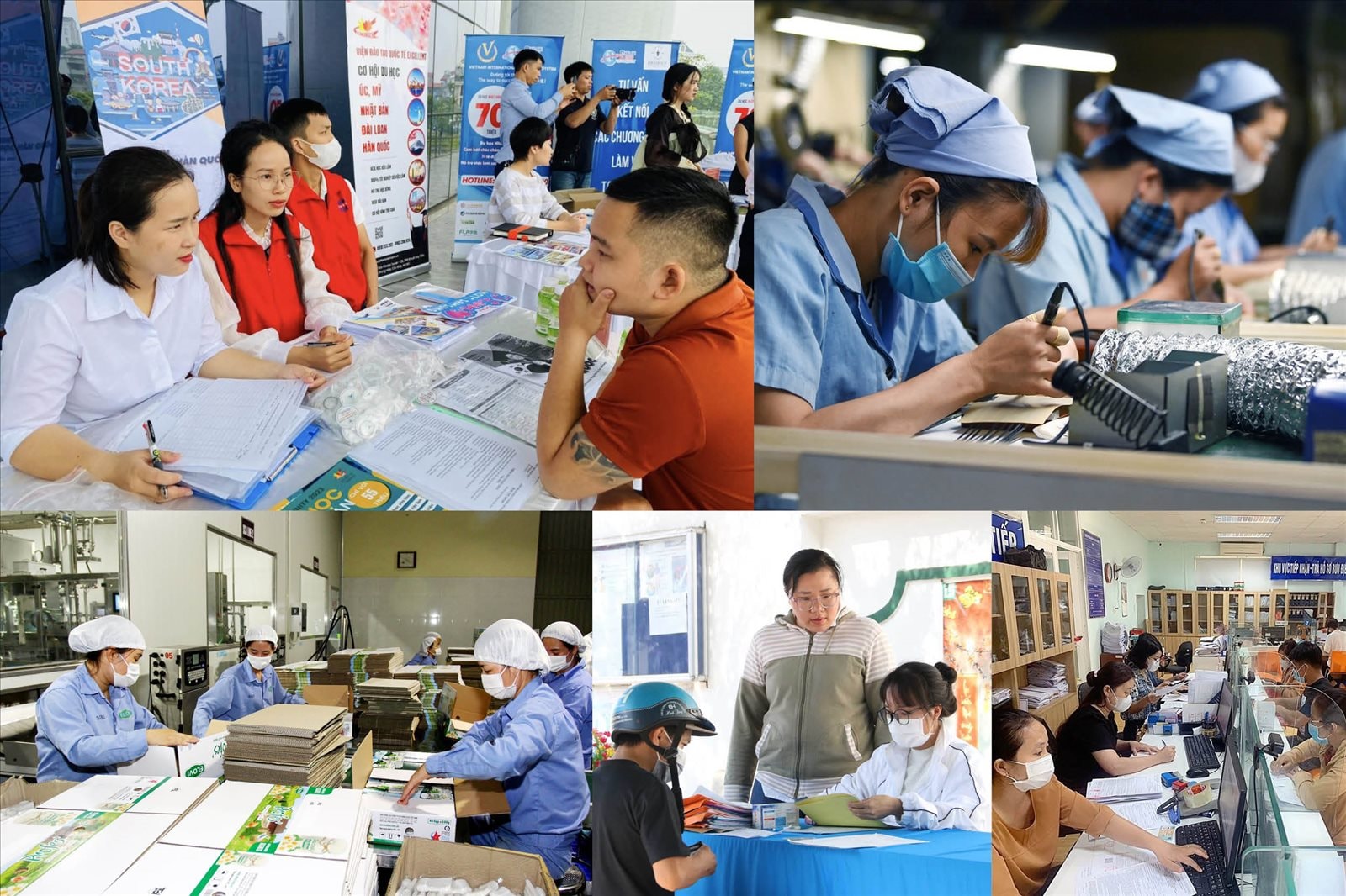 Thời điểm cuối năm 2025, thị trường lao động Việt Nam, đặc biệt là tại Hà Nội, chứng kiến một điểm sáng tích cực