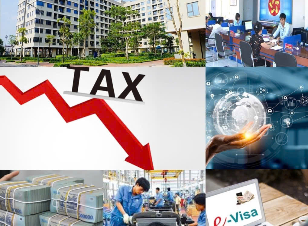 dự thảo Luật sửa đổi còn đặt trọng tâm vào việc cắt giảm thủ tục hành chính