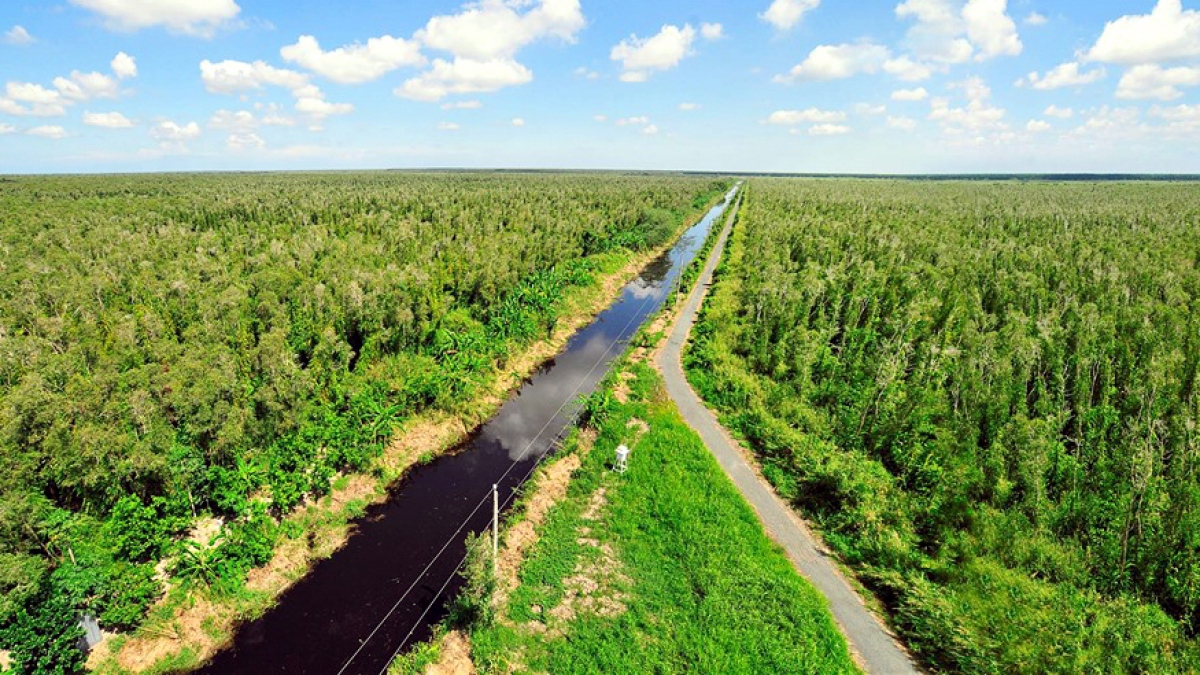 Trên thị trường carbon sẽ có hai mặt hàng, thứ nhất là hạn ngạch phát thải khí nhà kính, thứ hai là tín chỉ carbon