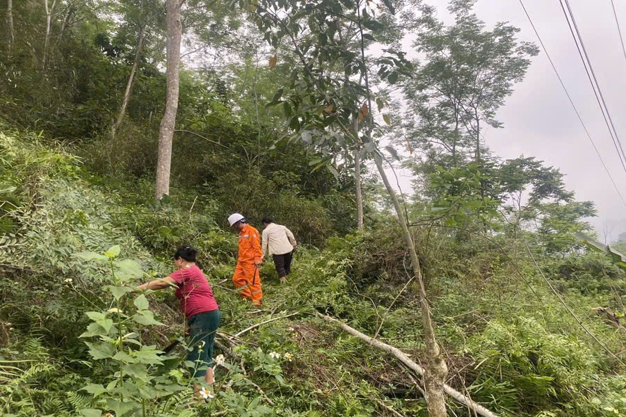 Công nhân Điện lực Na Hang (PC Tuyên Quang) kiểm tra phát dọn hành lang có nguy cơ gãy đổ
