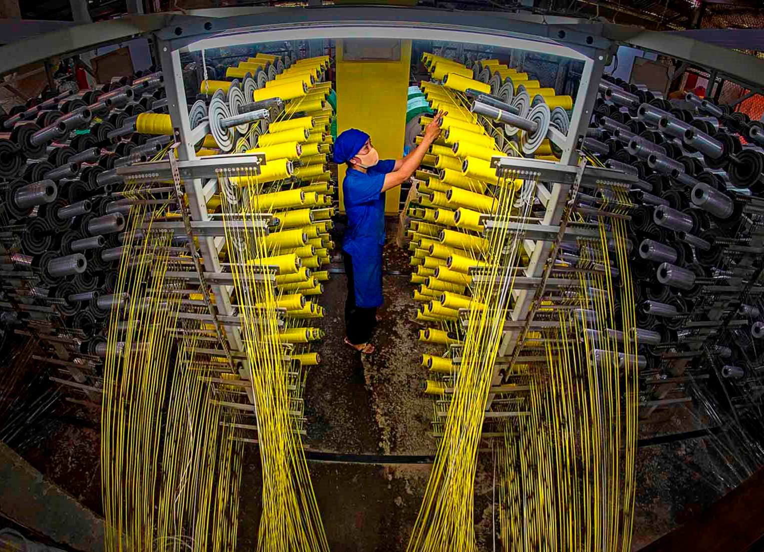 các tiêu chuẩn mới về phát triển bền vững, giảm phát thải, truy xuất nguồn gốc và trách nhiệm xã hội đã chuyển từ trạng thái khuyến khích sang điều kiện bắt buộc để thông quan hàng hóa