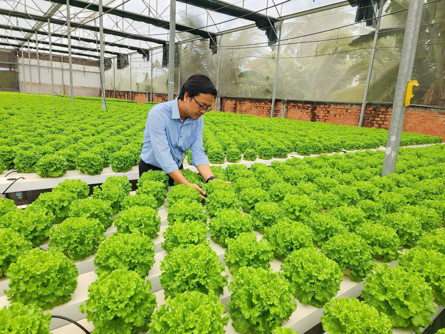 u hướng xanh hóa không thể chỉ dừng lại ở những khẩu hiệu hay một vài khâu nhỏ lẻ tại nhà máy mà phải được triển khai đồng bộ trên toàn bộ chuỗi cung ứng