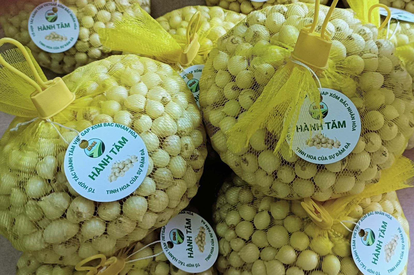 Hành tăm Nghi Thuận đạt sản phẩm OCOP 3 sao