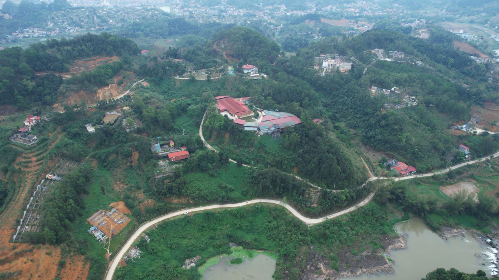 Thực trạng trồng rừng, chăm sóc và bảo vệ rừng tại khu vực đồi Kéo Tấu, xã Hoàng Đồng, TP Lạng Sơn.