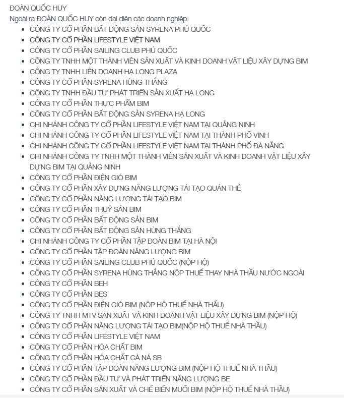 Loạt công ty thuộc hệ sinh thái của BIM Group. (Ảnh: masothue.com)
