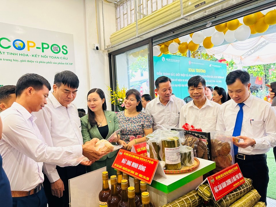 Một số sản phẩm OCOP của huyện Ba Vì.