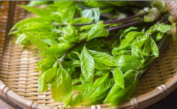 Ảnh minh hoạ: Internet