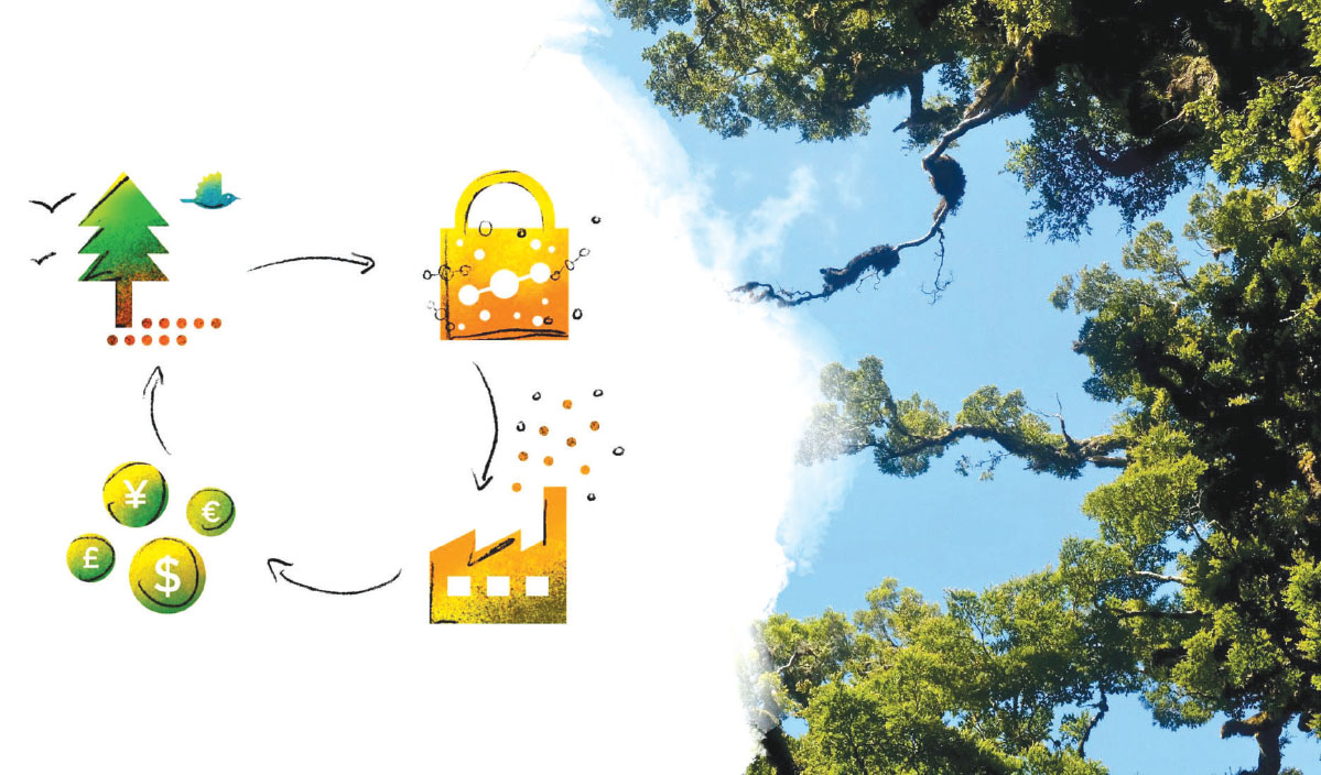 Việt Nam đứng thứ 5 trong các nước tạo tín chỉ các bon