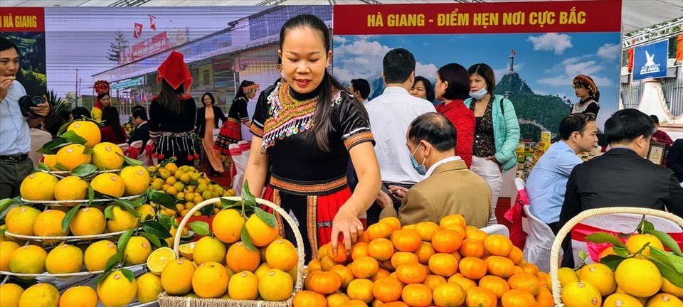 Ảnh minh hoạ. Nguồn: IT