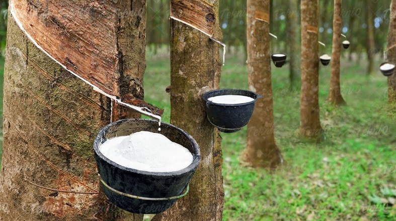 Ảnh minh hoạ. Nguồn: IT