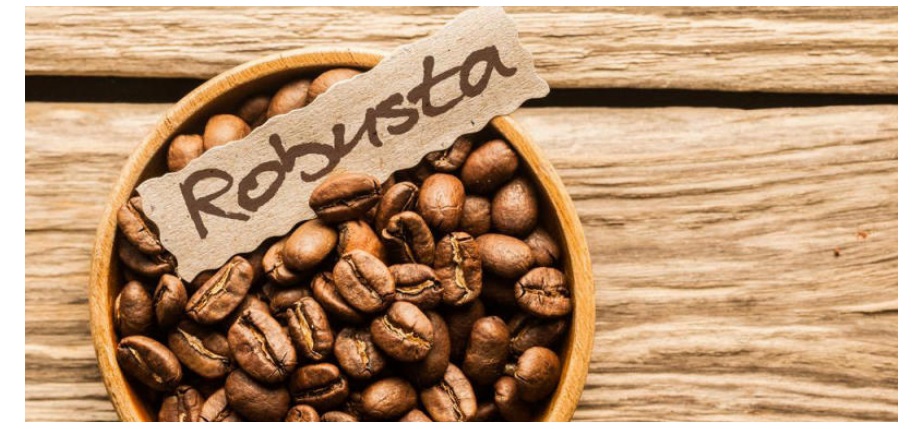 Ảnh minh hoạ. Nguồn: IT