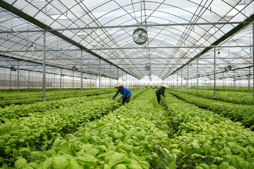 Ảnh minh hoạ. Nguồn: IT