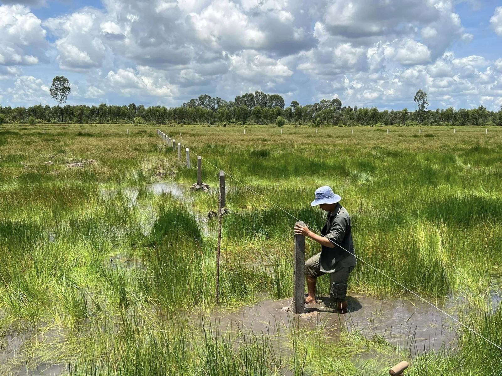 Đo đạc kiểm kê đất đai