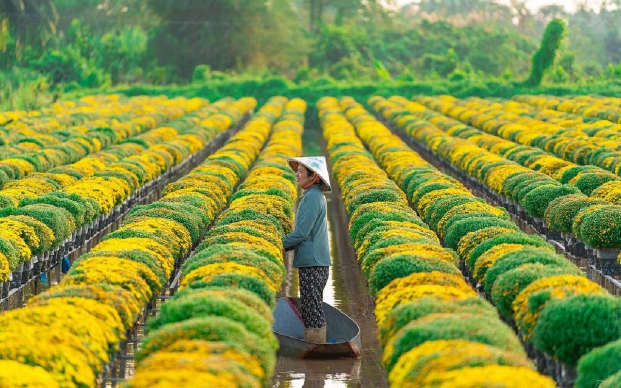 Ảnh minh họa. Nguồn: IT