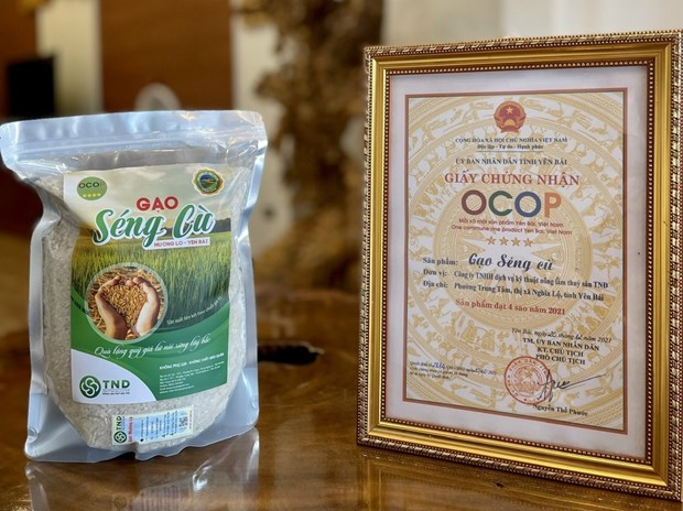 Gạo Séng Cù nhận chứng nhận OCOP (nguồn: sưu tầm)