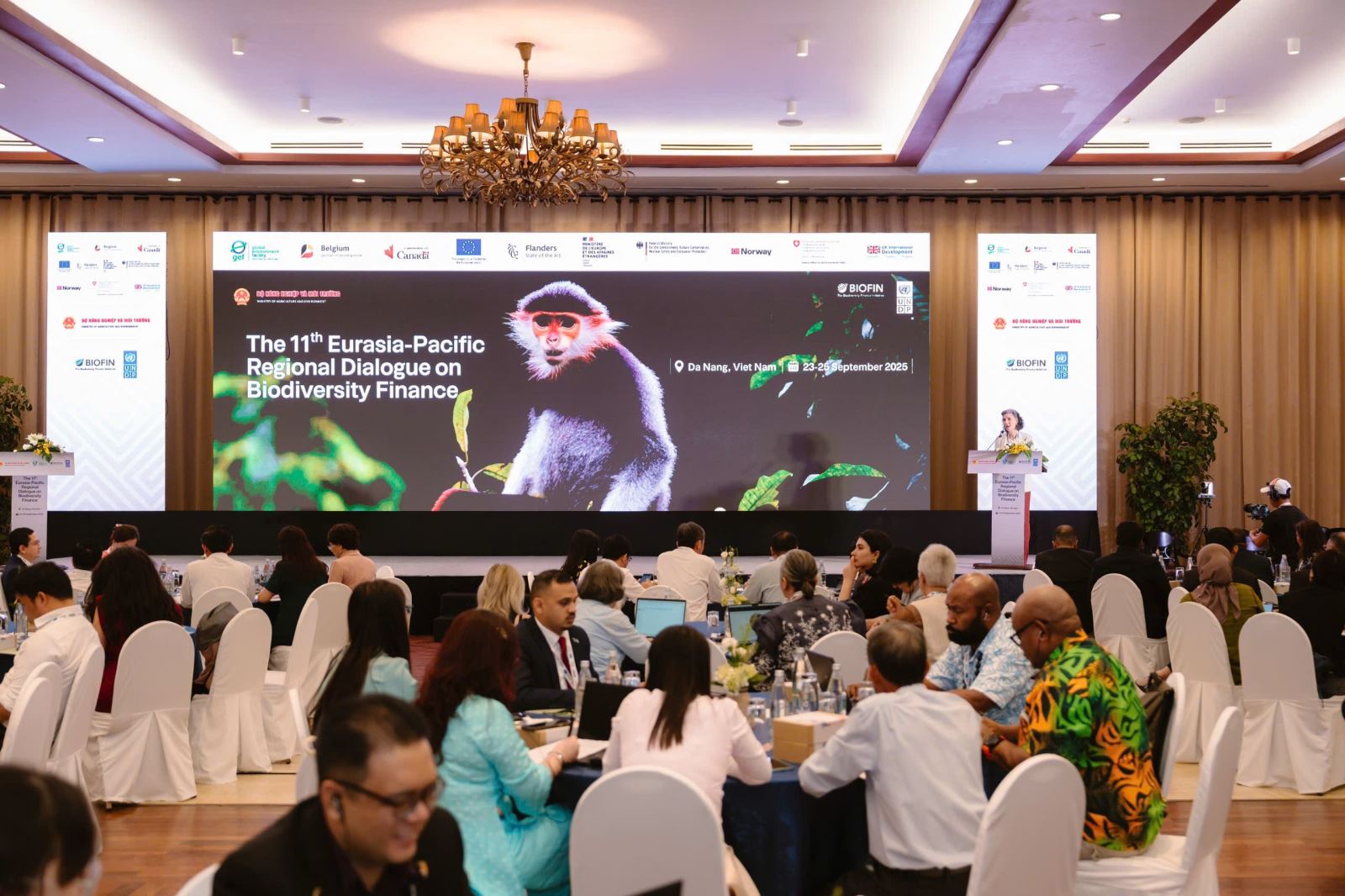 Quang cảnh hội nghị