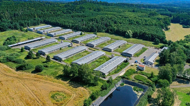 Một trang trại nuôi heo của Hoàng Anh Gia Lai