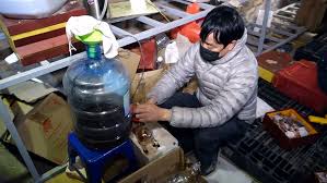 Ảnh minh hoạ cho việc sản xuất rượu giả