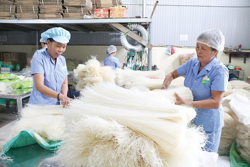 Sản xuất mì gạo Hùng Lô theo công nghệ mới đảm bảo chất lượng xuất khẩu (nguồn: sưu tầm)