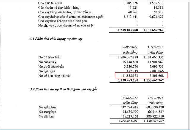 Nợ có khả năng mất vốn tăng hơn 6.600 tỷ đồng so với đầu năm