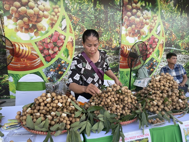 Gian hàng với sản phẩm nhãn tươi tại Tuần lễ tôn vinh nhãn lồng Hưng Yên. Nguồn: Báo Hưng Yên