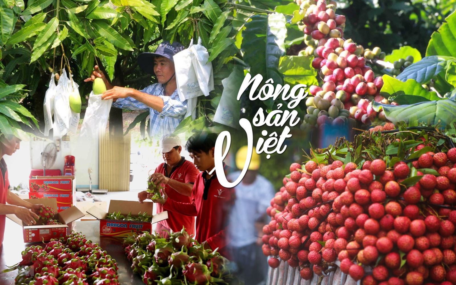 Ảnh minh hoạ. Nguồn: IT