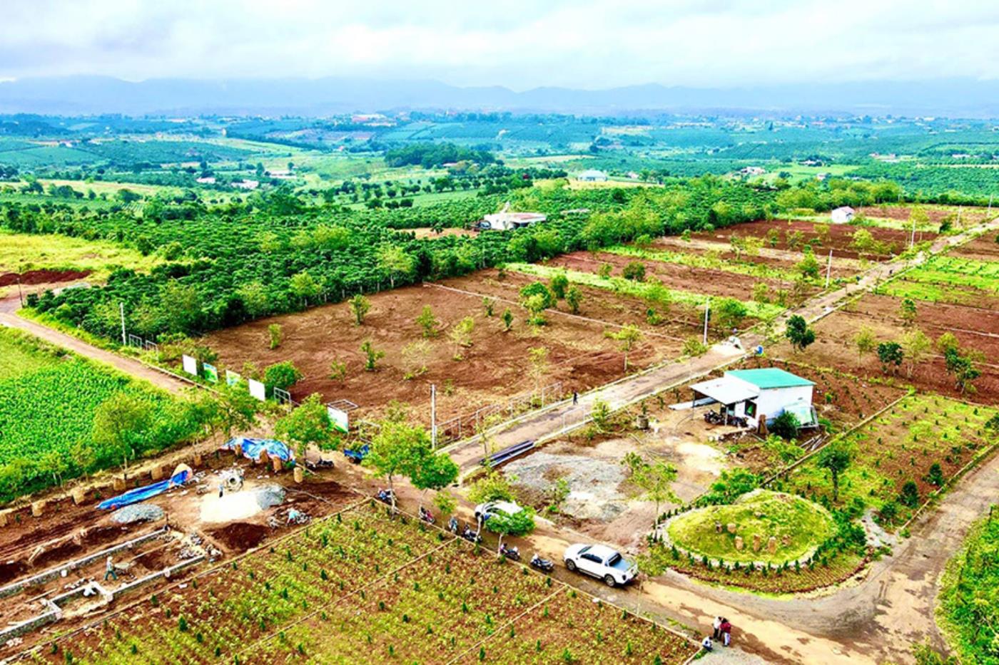 UBND tỉnh Lâm Đồng xử lý các vướng mắc, khó khăn liên quan đến việc phân lô, tách thửa, kinh doanh Bất động sản trên địa bàn tỉnh