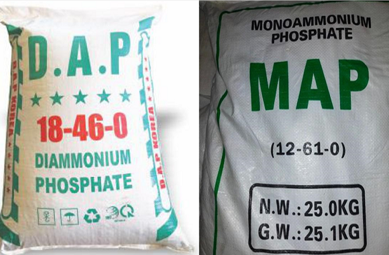 Bộ Công Thương không gia hạn áp dụng biện pháp tự vệ với phân bón DAP, MAP nhập khẩu. Ảnh minh hoạ