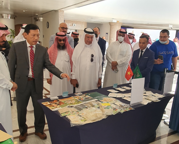 Ảnh minh hoạ: Internet