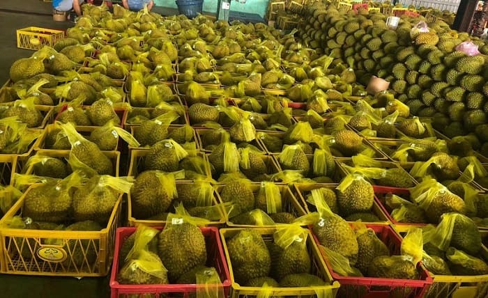 Sầu riêng Việt Nam chính thức được xuất khẩu chính ngạch sang Trung Quốc từ ngày 11/7. Ảnh: Internet