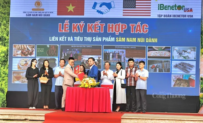 Công ty iBeneTor USA ký hợp đồng với Công ty CP Đầu tư phát triển sản xuất và thương mại sâm Nam núi Dành độc quyền phân phối sản phẩm sâm tại thị trường Hoa Kỳ. Ảnh Thu Hường