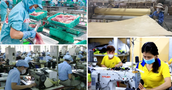 Quản lý dòng tiền và chuyển đổi mô hình kinh doanh để phát triển