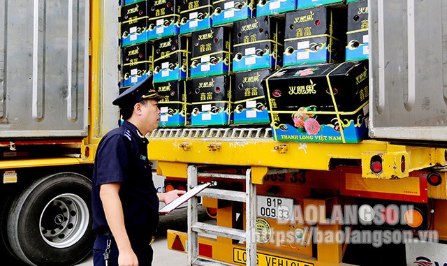 Hải quan Cửa khẩu Tân Thanh kiểm tra một lô hàng thanh long xuất khẩu - Ảnh: Báo Lạng Sơn