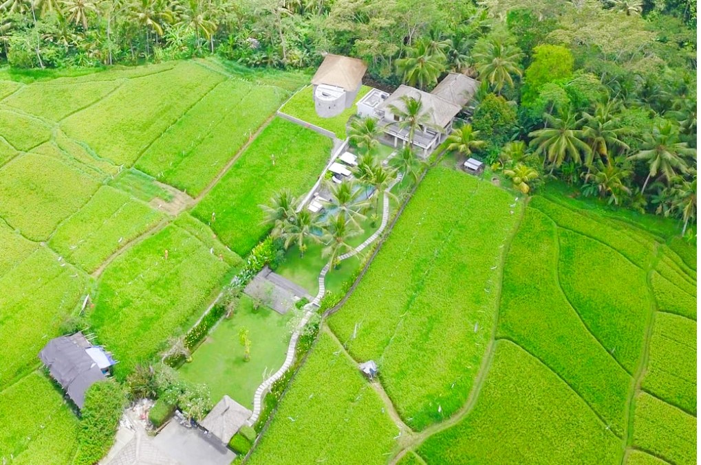 Tâm An Farm hướng đến cho đa phần khách đến đó là sự bình yên đến những vùng quê dân dã không ồn ào khói bụi