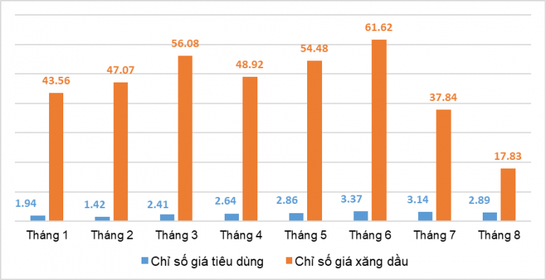 Tốc độ tăng chỉ số giá tiêu dùng và chỉ số giá xăng dầu các tháng năm 2022 so với cùng kỳ năm trước (%). Nguồn: TCTK