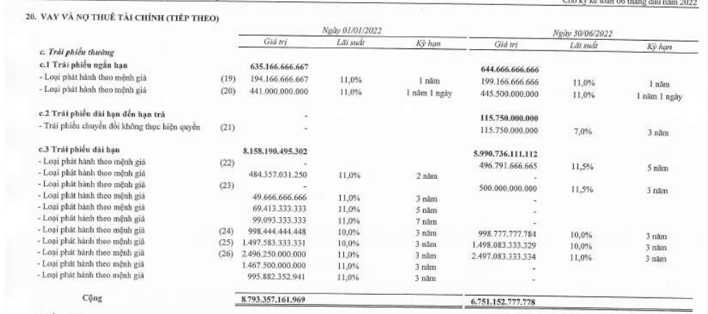 Nguồn: BCTC hợp nhất soát xét 6 tháng đầu năm 2022 tại BCG.