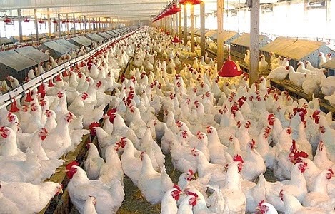 Ảnh minh họa. Nguồn: IT