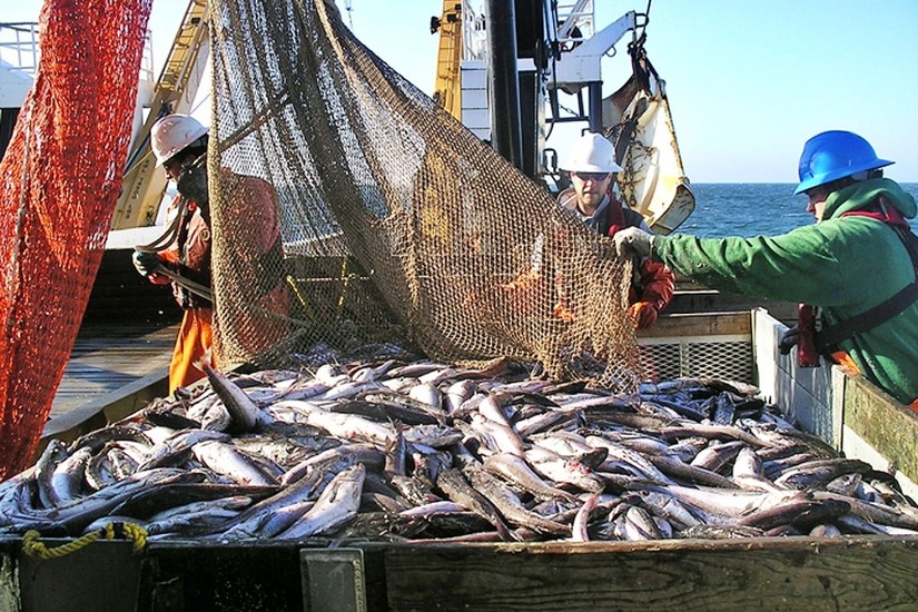 ASEAN là thị trường xuất khẩu thuỷ sản lớn thứ 4 của Việt Nam trong tháng đầu năm. Ảnh minh hoạ: Internet
