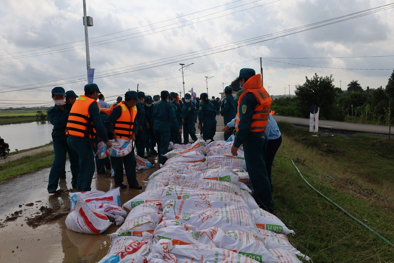 Lực lượng dân quân diễn tập xử lý sự cố đê điều.