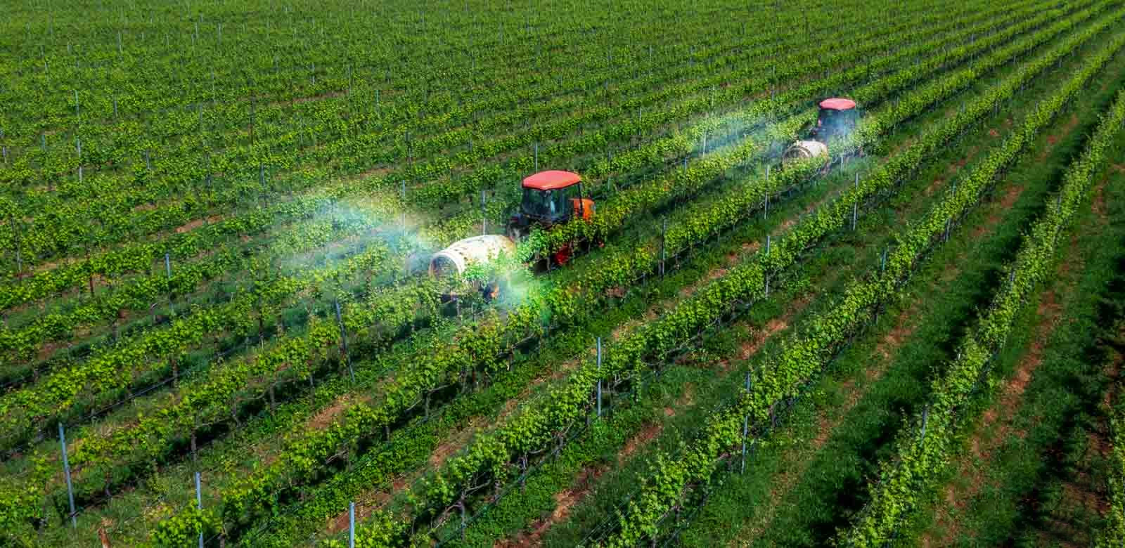 Ứng dụng khoa học công nghệ trong canh tác nông nghiệp