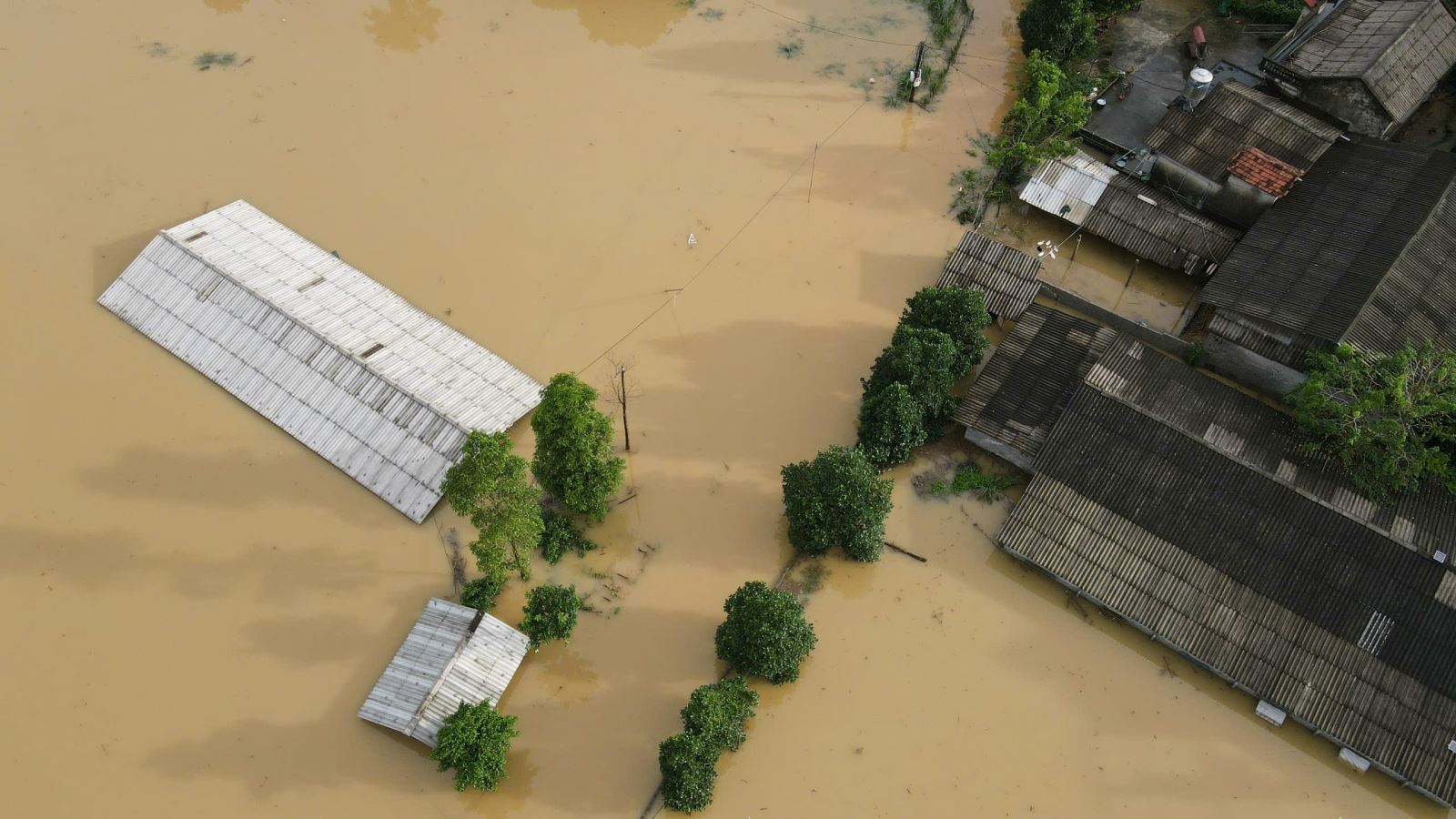 Ảnh minh hoạ. Nguồn: IT