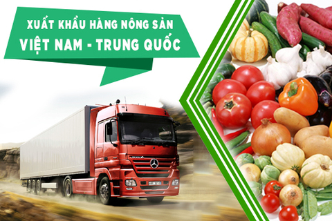 Bộ Công Thương phát hành Cẩm nang Hướng dẫn xuất khẩu rau quả chính ngạch sang thị trường Trung Quốc. Ảnh minh hoạ