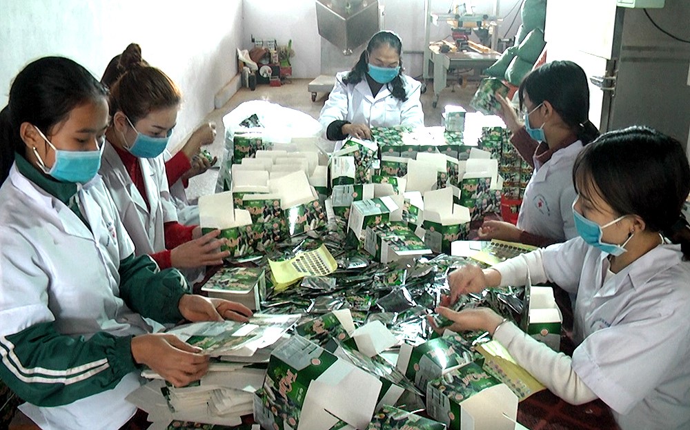  Công ty TNHH Trà thảo mộc Quế Phát (Văn Yên) sản xuất các sản phẩm trà từ quế