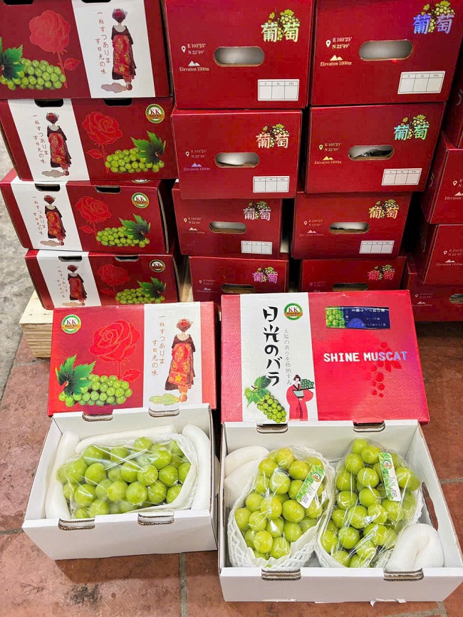 Hoa quả ngoại nhập