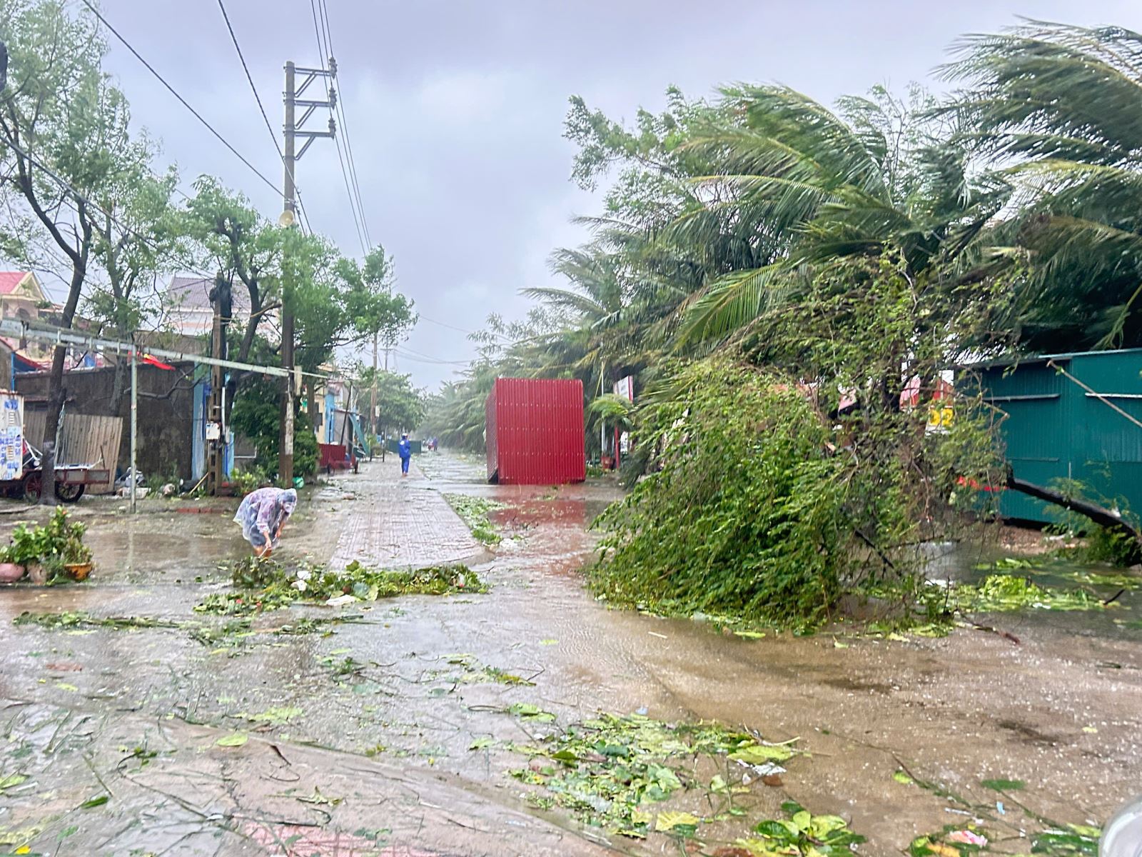 Cây xanh gẫy đổ hàng loạt