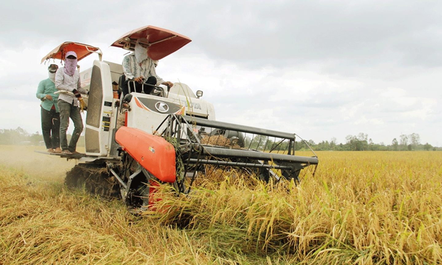Xây dựng hình mẫu sản xuất lúa giảm phát thải ở Đồng bằng sông Cửu Long 