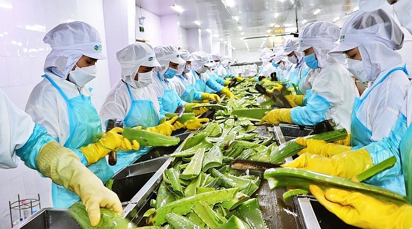 Chế biến lương thực, thực phẩm là một trong bốn ngành công nghiệp trọng  điểm ưu tiên phát triển của TP.HCM