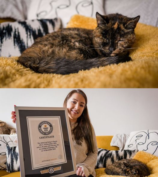 Cụ mèo' lớn tuổi nhất thế giới