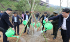 Phát động Tết trồng cây xuân Bính Ngọ 2026