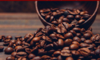 Thị trường cà phê toàn cầu điều chỉnh giá và bài toán mở rộng thị phần xuất khẩu của Việt Nam